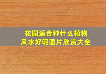 花园适合种什么植物风水好呢图片欣赏大全