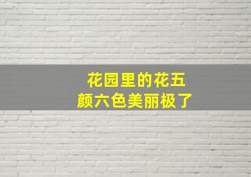 花园里的花五颜六色美丽极了