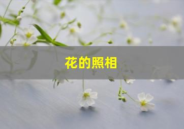 花的照相