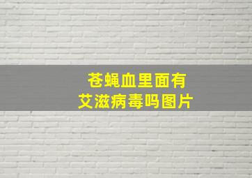 苍蝇血里面有艾滋病毒吗图片