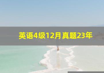 英语4级12月真题23年