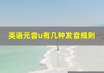 英语元音u有几种发音规则