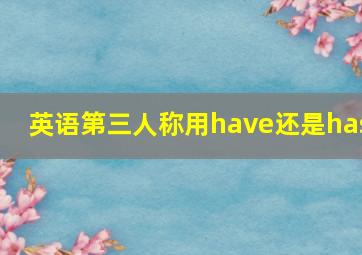 英语第三人称用have还是has