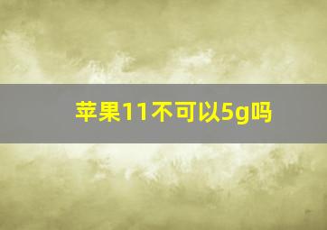 苹果11不可以5g吗