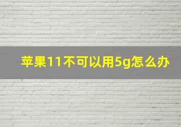 苹果11不可以用5g怎么办