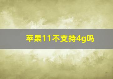 苹果11不支持4g吗