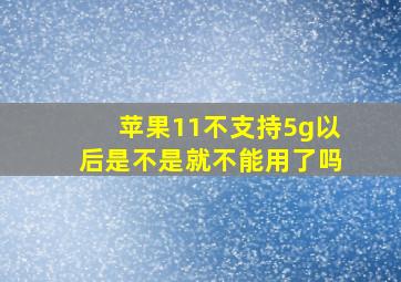 苹果11不支持5g以后是不是就不能用了吗