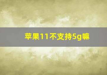 苹果11不支持5g嘛