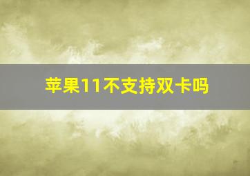 苹果11不支持双卡吗