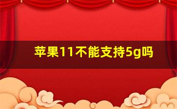 苹果11不能支持5g吗