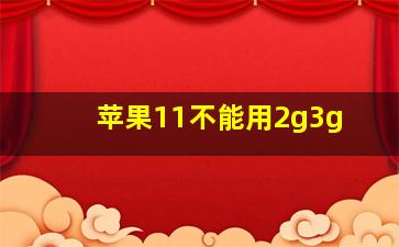 苹果11不能用2g3g