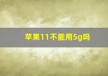 苹果11不能用5g吗