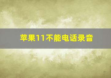 苹果11不能电话录音