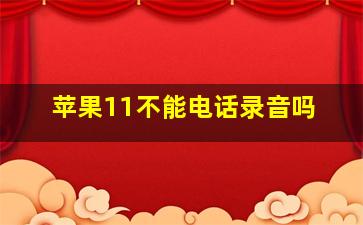 苹果11不能电话录音吗