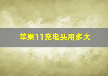 苹果11充电头用多大