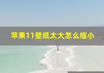 苹果11壁纸太大怎么缩小