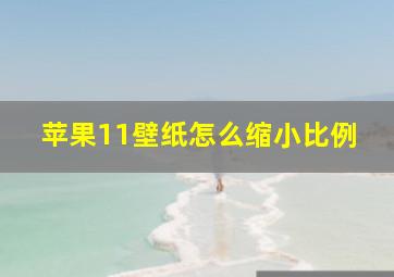 苹果11壁纸怎么缩小比例