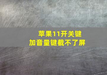 苹果11开关键加音量键截不了屏