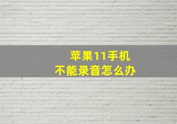 苹果11手机不能录音怎么办