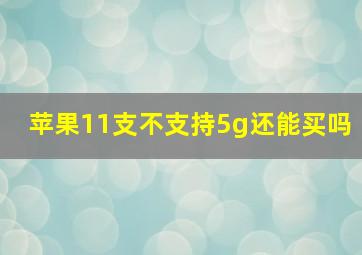 苹果11支不支持5g还能买吗