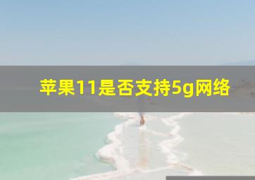 苹果11是否支持5g网络