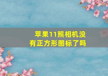 苹果11照相机没有正方形图标了吗