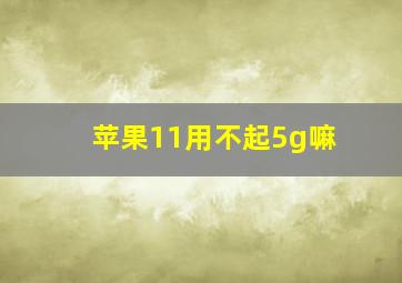 苹果11用不起5g嘛