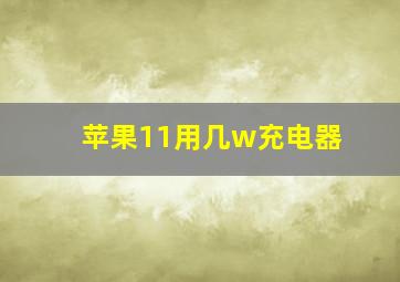 苹果11用几w充电器