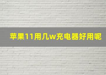 苹果11用几w充电器好用呢