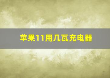 苹果11用几瓦充电器