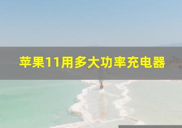 苹果11用多大功率充电器