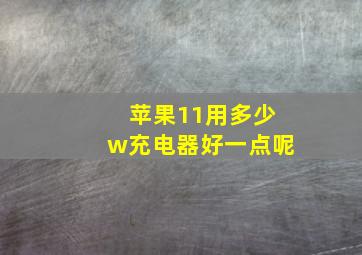 苹果11用多少w充电器好一点呢