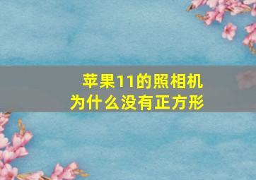 苹果11的照相机为什么没有正方形