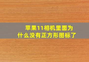 苹果11相机里面为什么没有正方形图标了