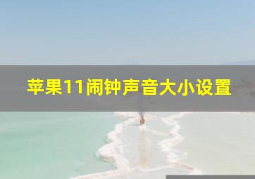 苹果11闹钟声音大小设置