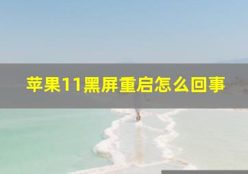 苹果11黑屏重启怎么回事