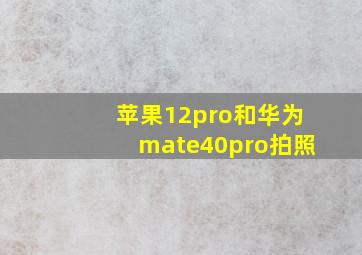 苹果12pro和华为mate40pro拍照