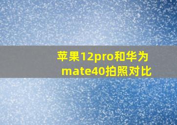 苹果12pro和华为mate40拍照对比