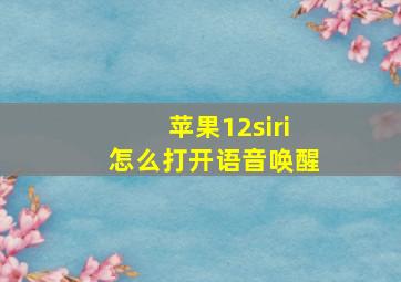 苹果12siri怎么打开语音唤醒