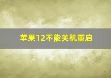 苹果12不能关机重启