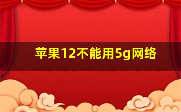 苹果12不能用5g网络