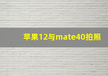 苹果12与mate40拍照