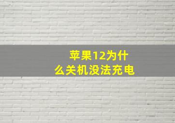 苹果12为什么关机没法充电