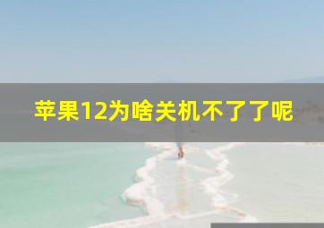 苹果12为啥关机不了了呢