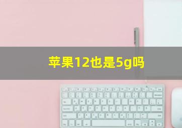 苹果12也是5g吗