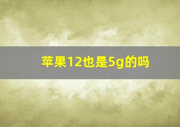 苹果12也是5g的吗