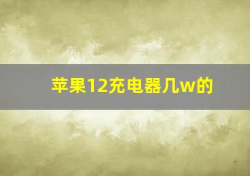 苹果12充电器几w的