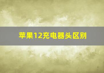 苹果12充电器头区别