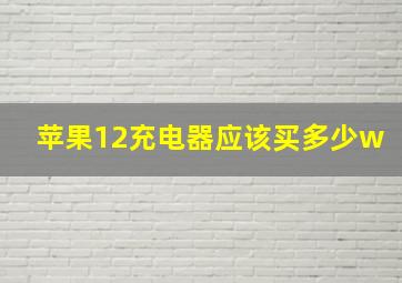 苹果12充电器应该买多少w