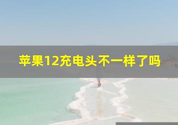 苹果12充电头不一样了吗